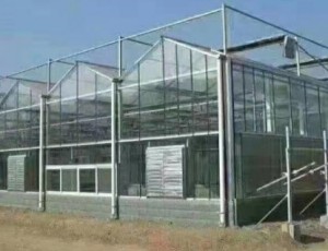 玻璃溫室大棚建設(shè)需要考慮天氣因素么