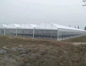 玻璃溫室的優點有哪些？