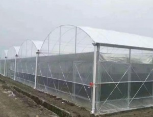 連棟薄膜溫室的結(jié)構(gòu)優(yōu)點分析