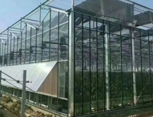 智能溫室大棚的發(fā)展趨勢