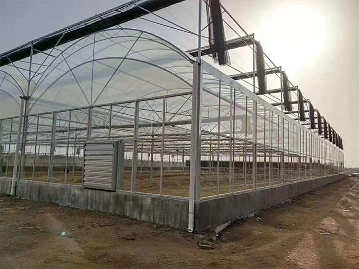 薄膜連棟溫室