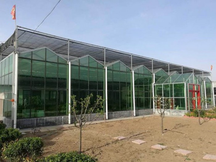 玻璃智能溫室