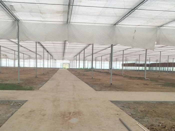 溫室內保溫系統