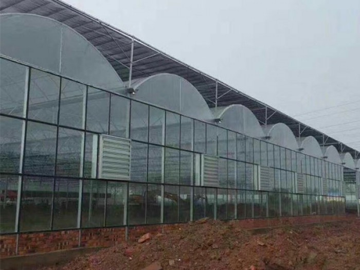 連棟溫室