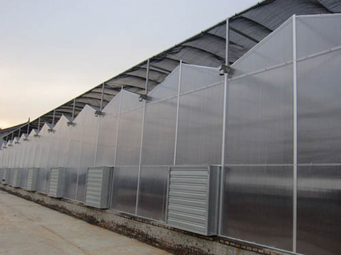 玻璃智能溫室
